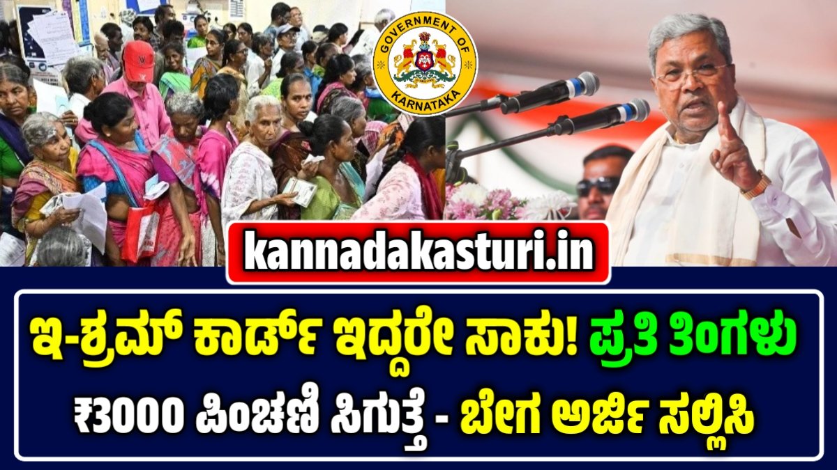 E Shram Card Pension