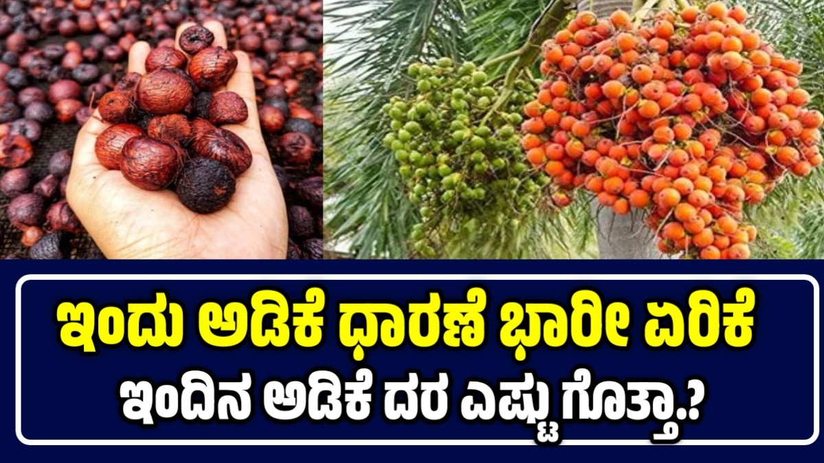 Today Adike Rate News