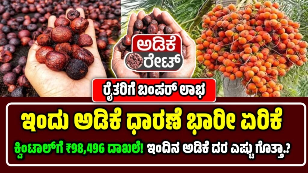 ಅಡಿಕೆ ಬೆಲೆ ಭಾರೀ ಏರಿಕೆ