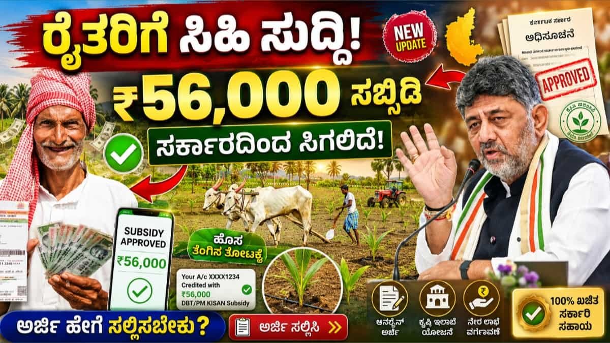 Coconut Subsidy