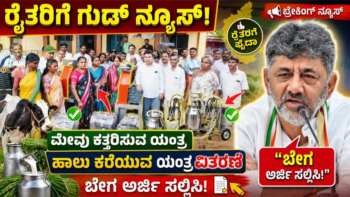 Dairy farming project