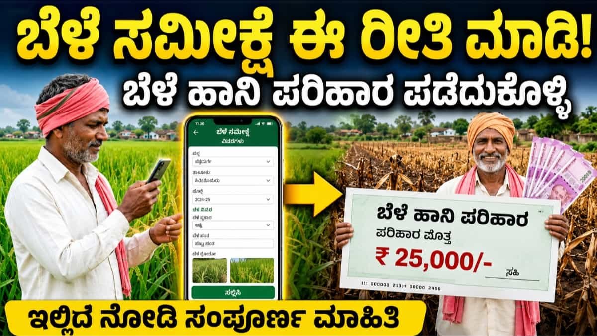 ಬೆಳೆ ಸಮೀಕ್ಷೆ