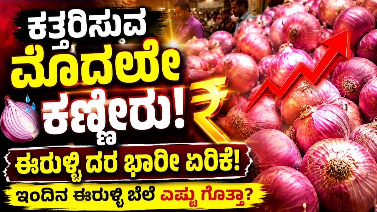ಈರುಳ್ಳಿ