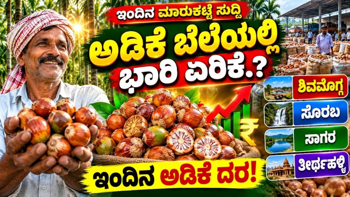 ಅಡಿಕೆ