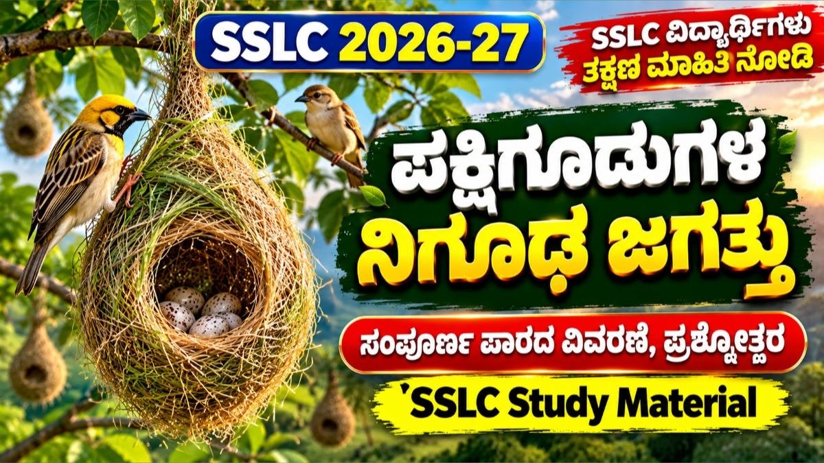 ಪಕ್ಷಿಗೂಡುಗಳ ನಿಗೂಢ ಜಗತ್ತು